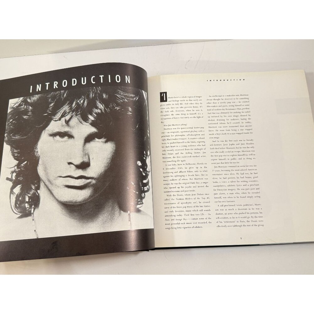 Jim Morrison Dark Star Hardcover By Jones, Dylan - GOOD - Picture 8 of 16